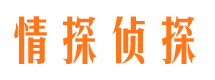 葫芦岛市私家侦探